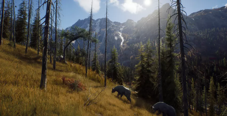 Way of the Hunter